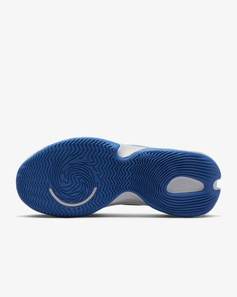 Nike Renew Elevate 3 Basketball Shoes for Men & Women - Pure Platinum/Ashen Slate/Baltic Blue/Hyper Royal Colorways